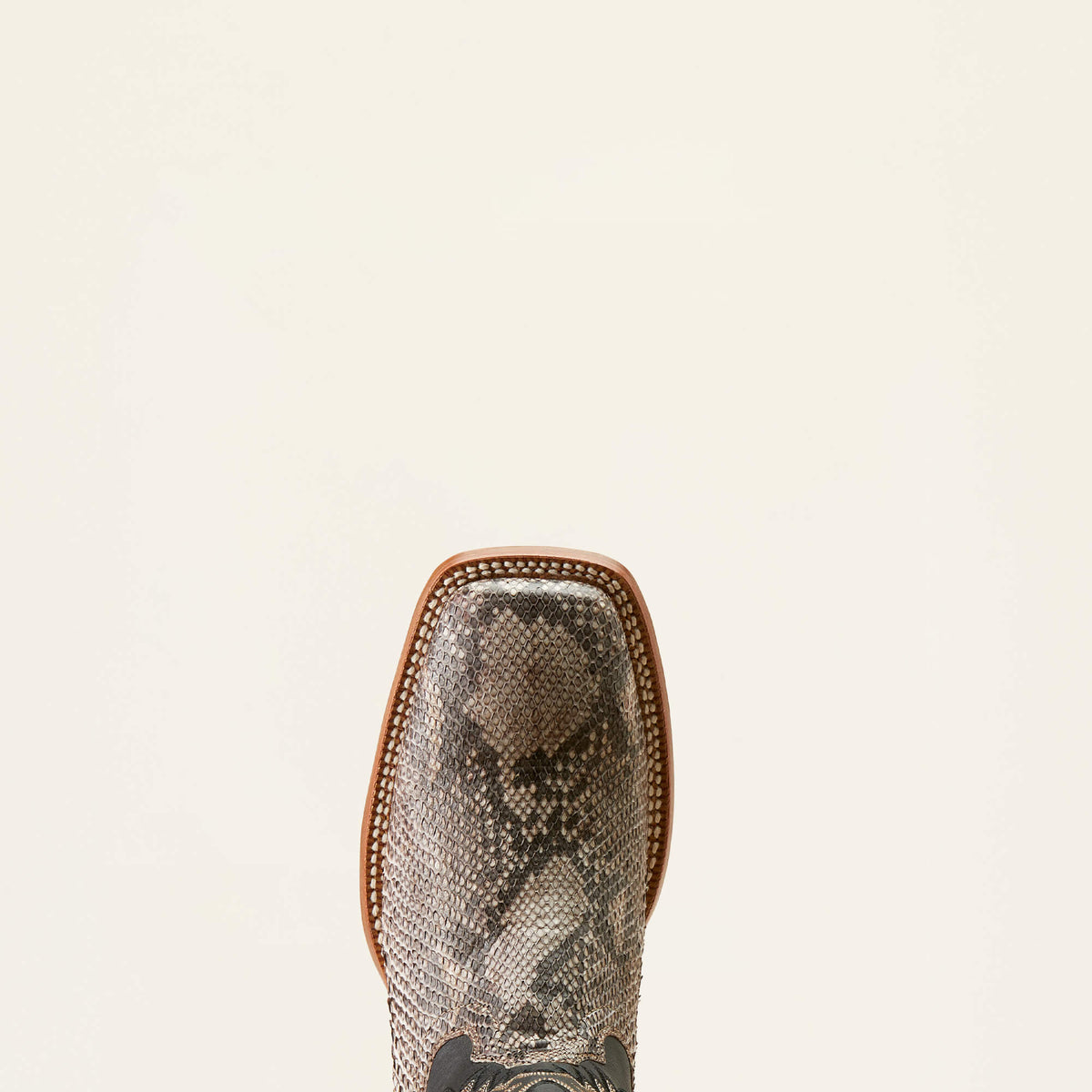 Ariat Mens Dry Gulch Python Backcut-10047081