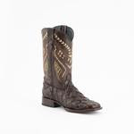 Ferrini Boots Bronco Pirarucu-4339309