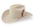 Stetson Hat Rancher-Slvr.Belly-0401-6134