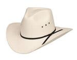 Western Express Inc Straw-Pinch Front 3.5-CA-3E