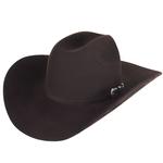 Bailey Trigger Beaver Wool Felt Western Cowboy Hat-W0702A-BEA