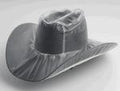 M&F Western Hat Cover-Clear