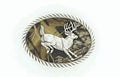M&F Western Buck Mossy/Oak 2.5 X 3.5