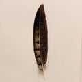M and F Western Hat Feathers Dark Brown