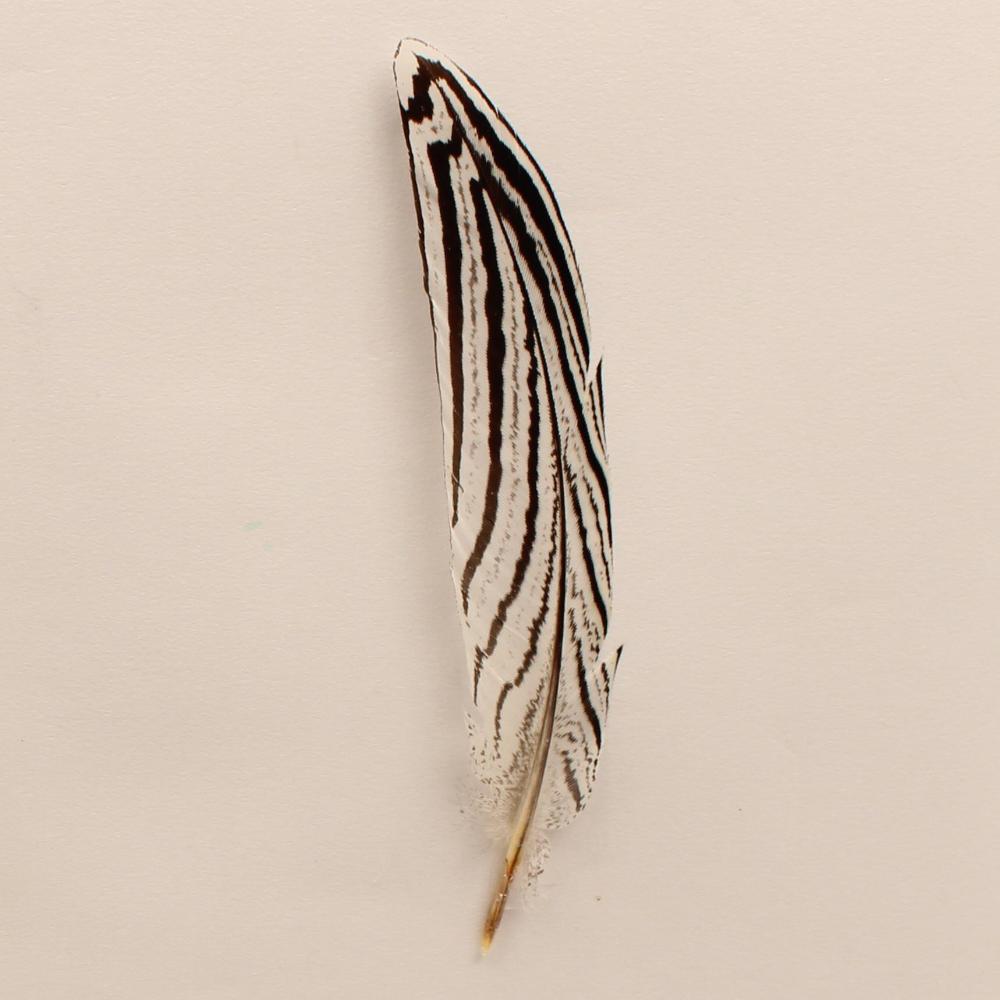 M&F Western Hat Feathers White