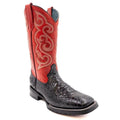 Ferrini Boots Kia Sea Turtle Prnt Sq Toe-4259304