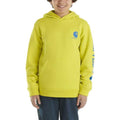 Carhartt Kids Long-Sleeve Graphic Sweatshirt-CA6469-G270