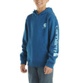Carhartt Kids Long-Sleeve Graphic Sweatshirt-CA6549-HE8