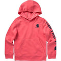 Carhartt Kids Long-Sleeve Graphic Sweatshirt-CA9897-P391-Y