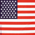 Western Express Inc Old Glory Bandanna-3500-FL