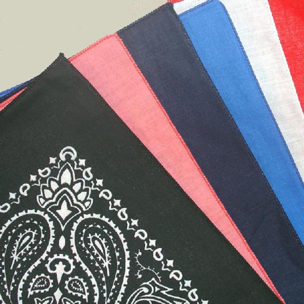 Western Express Inc Assorted Paisley Bandana-3599