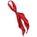 Western Express Inc Red Scarf Tie-T-421R