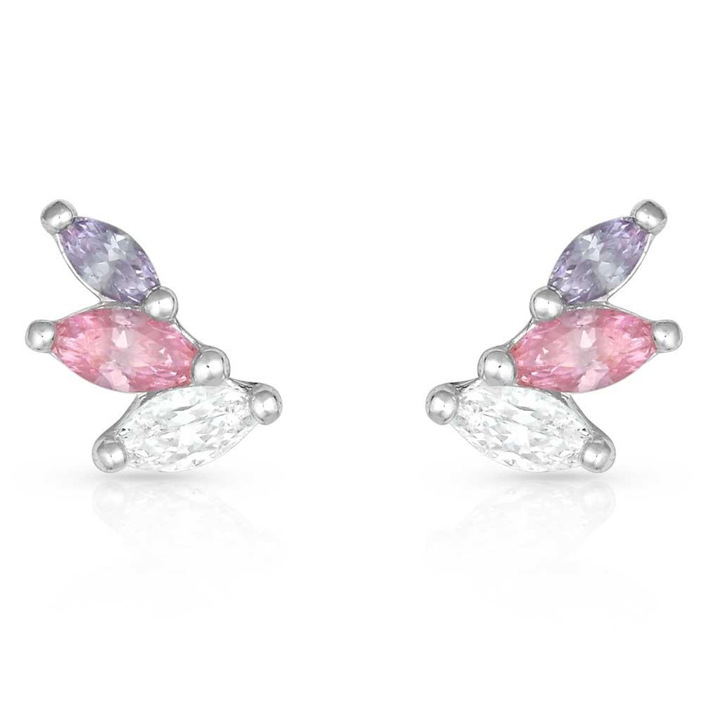 Montana Silversmiths Flared Cluster Wing Earrings-ER4462