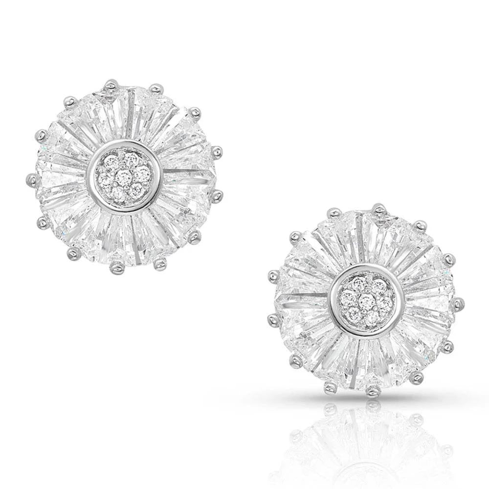 Montana Silversmiths Earrings-Twinkle Wheel-ER4487