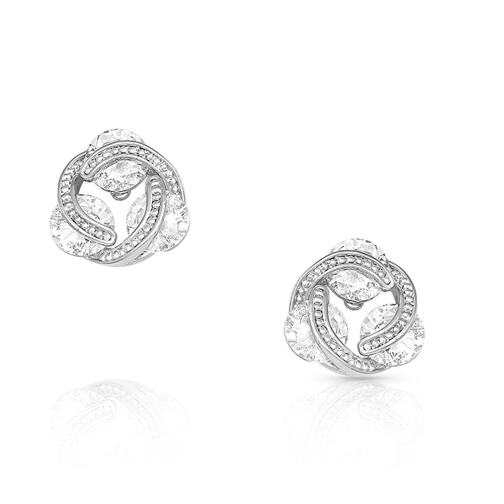 Montana Silversmiths Holding On To Starlight Earrings-ER4800