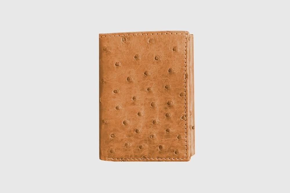 Gem-Dandy Wallets-9808001-243