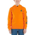 Carhartt Kids Long Sleeve Grphc Sweatshirt 65-J-CA6272-E165-J