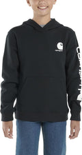 Carhartt Kids Sweatshirt-CA6272-K01-Y