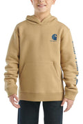 Carhartt Kids Long-Sleeve Graphic Sweatshirt-CA6581-CT06-Y