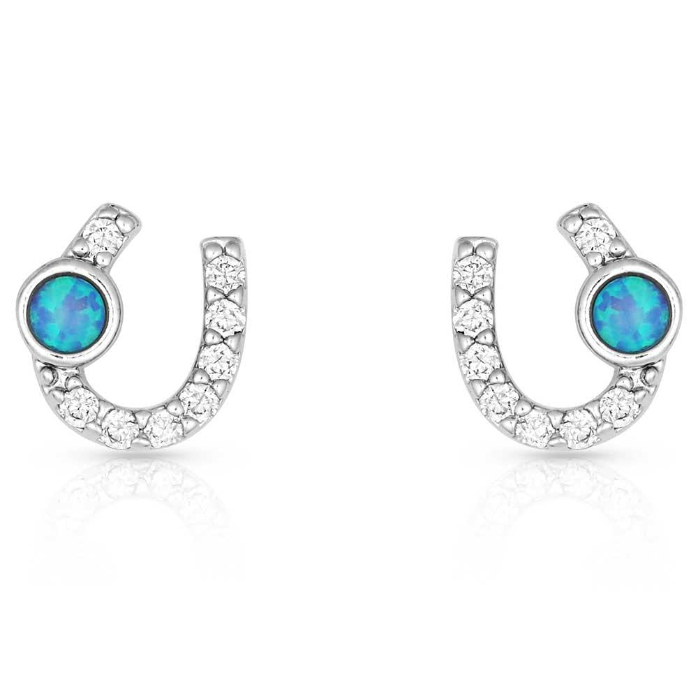 Montana Silversmiths Lightfoot Horseshoe Earrings-ER3394