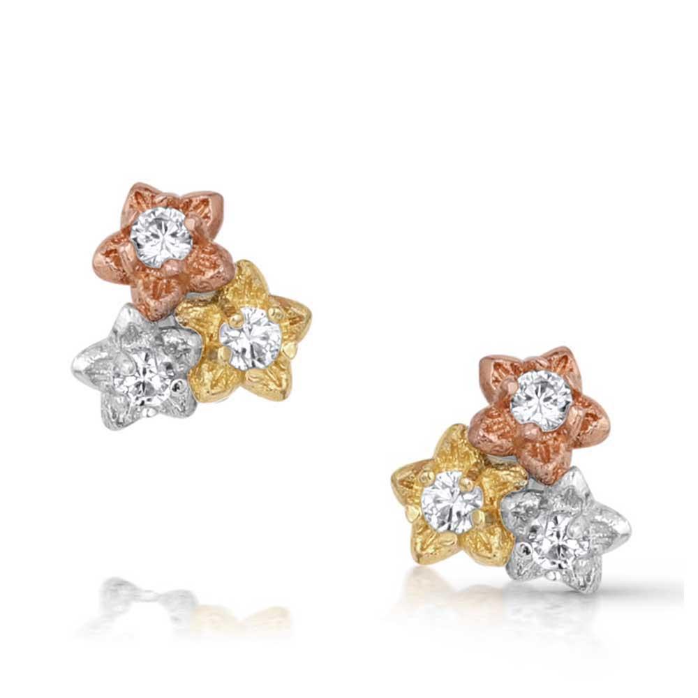 Montana Silversmiths Wildflower Meadow Earrings-ER5800
