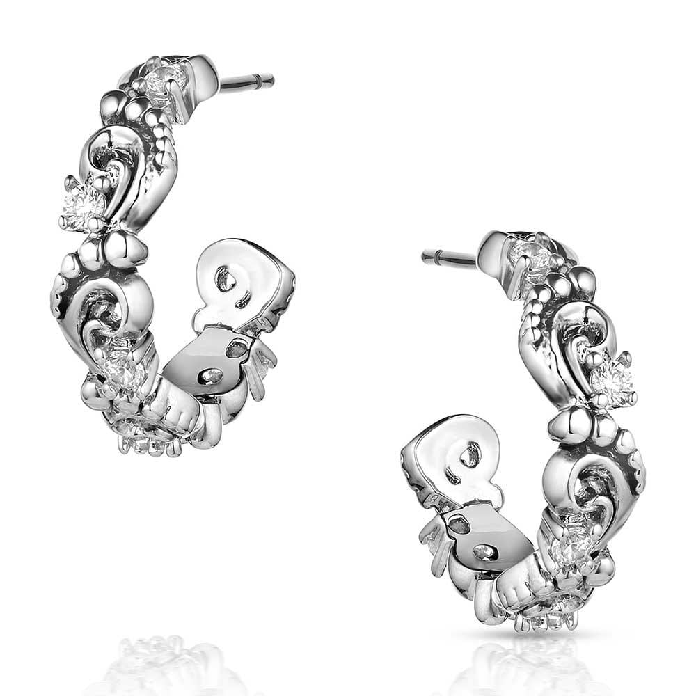 Montana Silversmiths Windblown Elegance Crystal Earrings-ER5862