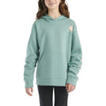 Carhartt Kids Long-Sleeve Graphic Sweatshirt-CA7057-GH5-J