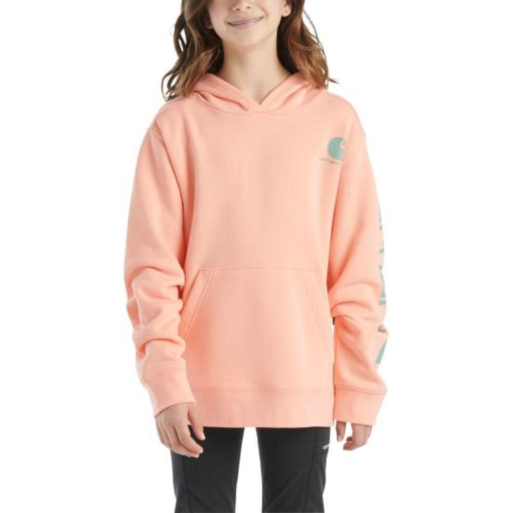 Carhartt Kids Long-Sleeve Graphic Sweatshirt-CA7057-P399-J