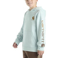 Carhartt Kids Long-Sleeve Graphic Sweatshirt-CA6700-B348-Y