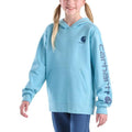 Carhartt Kids Long-Sleeve Graphic Sweatshirt-CA7131-A184-Y