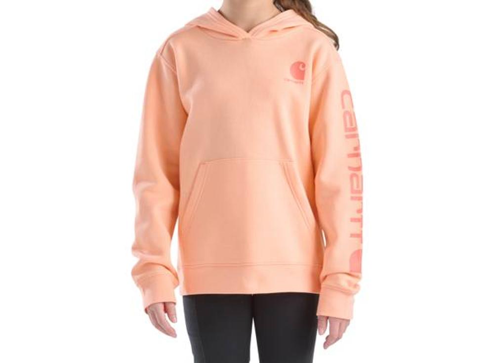 Carhartt Kids Long-Sleeve Graphic Sweatshirt-CA7131-CP65-J