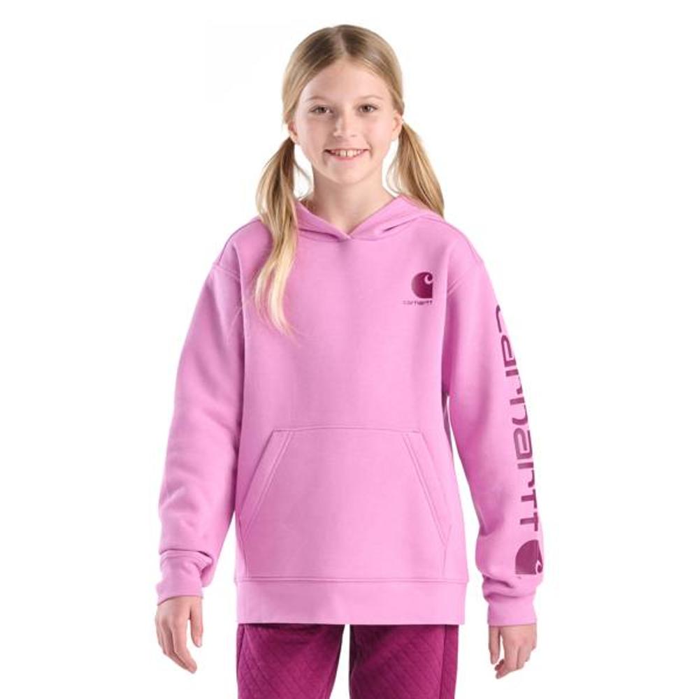Carhartt Kids Long-Sleeve Graphic Sweatshirt-CA7131-P401-J