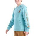 Carhartt Kids Long-Sleeve Graphic Sweatshirt-CA6772-A184-Y