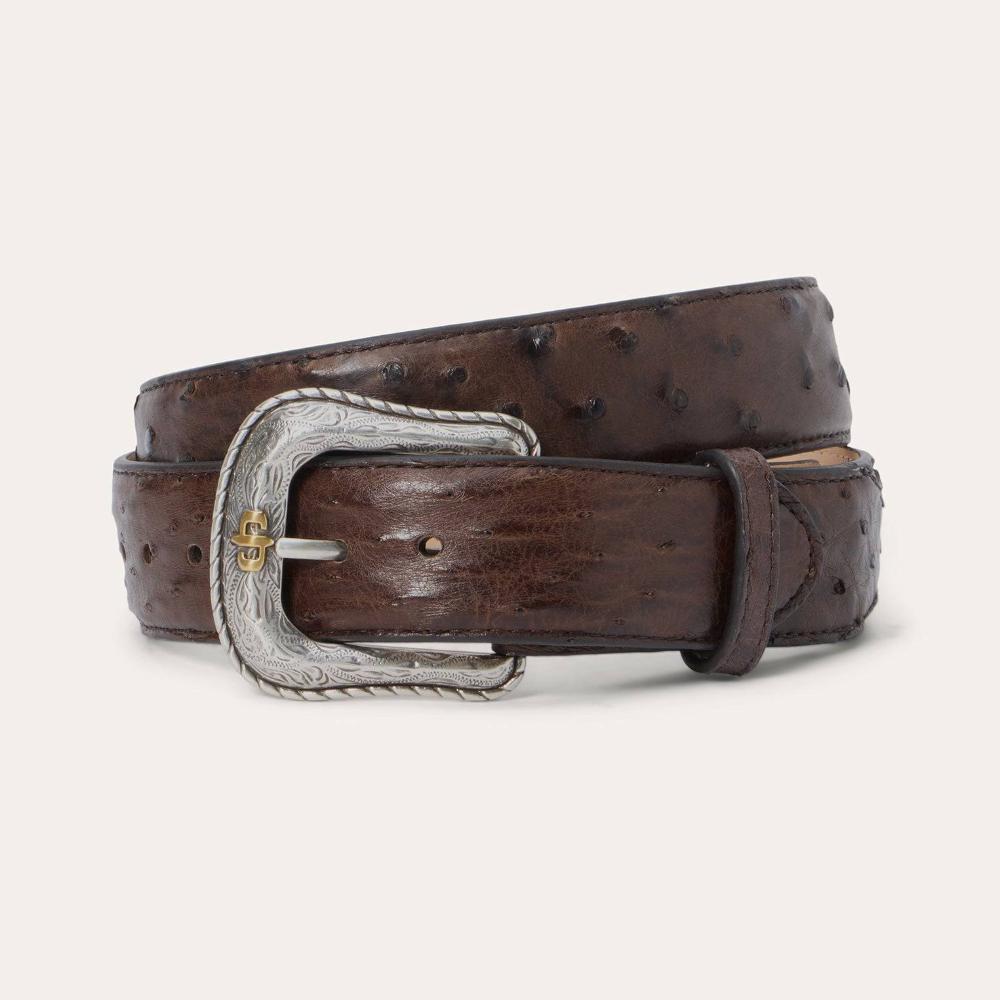 Gem-Dandy Mens Stetson Genuine Ostrich Tab Belt-9916500-260