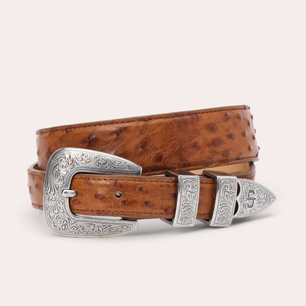 Gem-Dandy Mens Stetson Genuine Ostrich Tapered Tab Belt-9924500-243