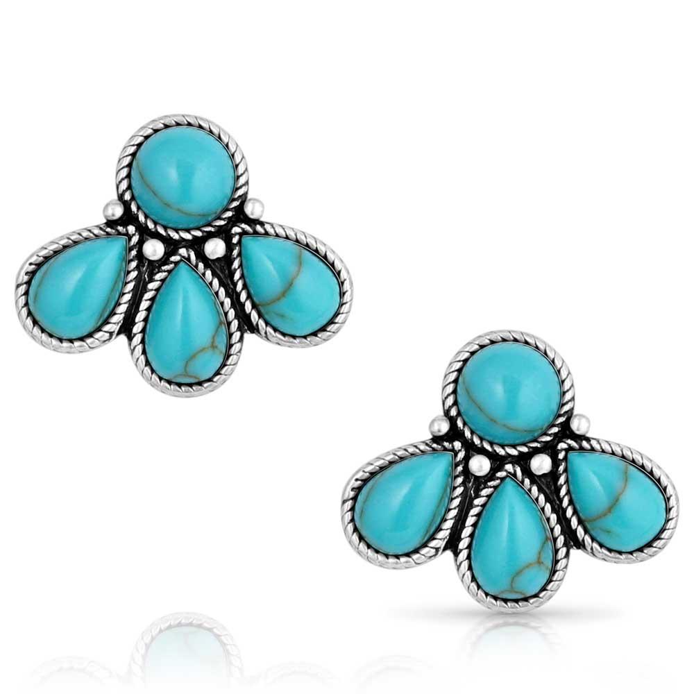Montana Silversmiths Nature's Wonder Turquoise Earrings-ER5820