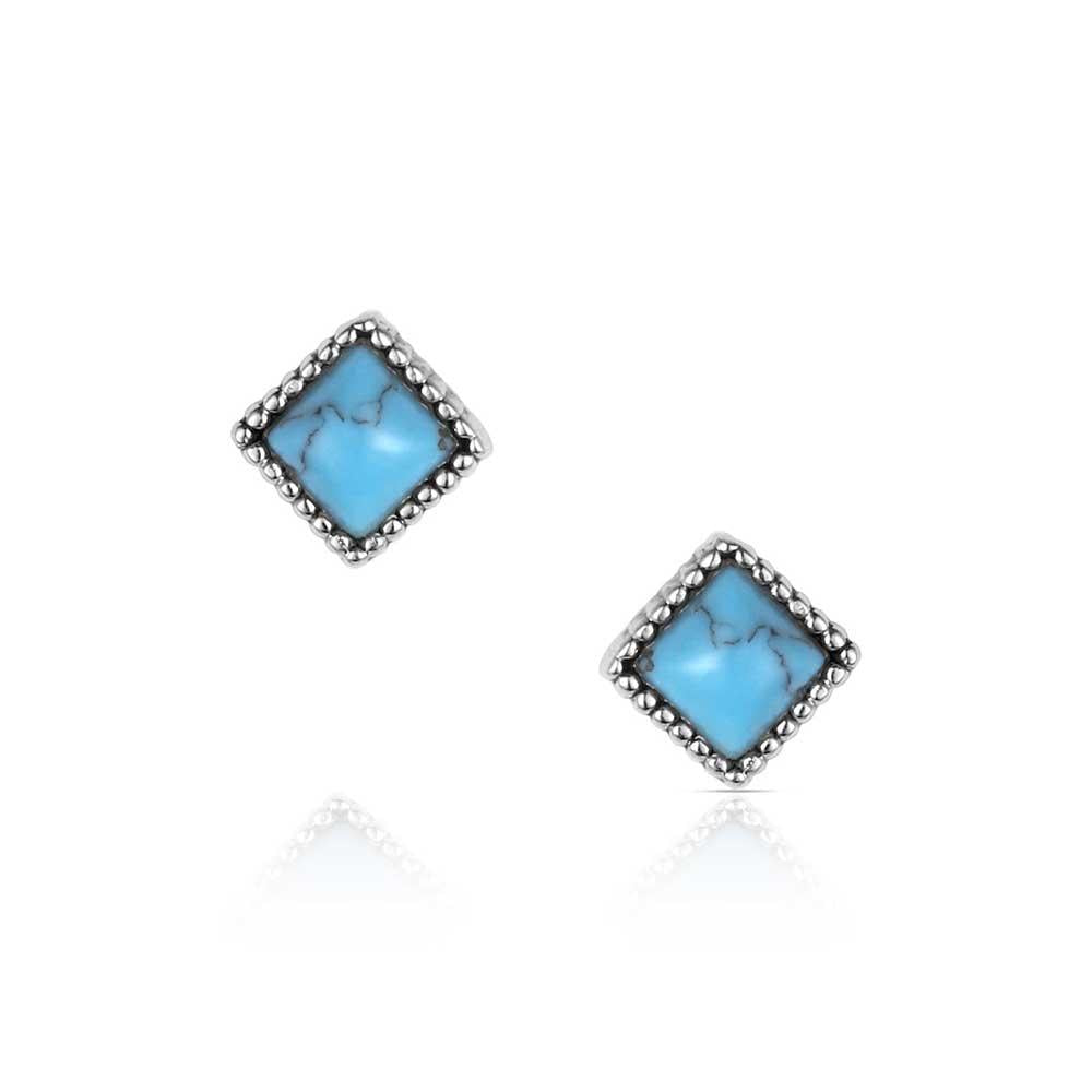 Montana Silversmiths Desert Turquoise Earrings-ER6326