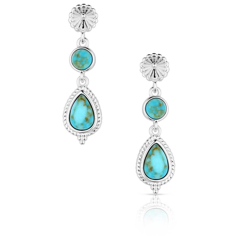 Montana Silversmiths Desert Bloom Earrings-ER6107