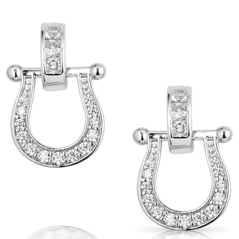 Montana Silversmiths Ride In Style Crystal Earrings-ER5824