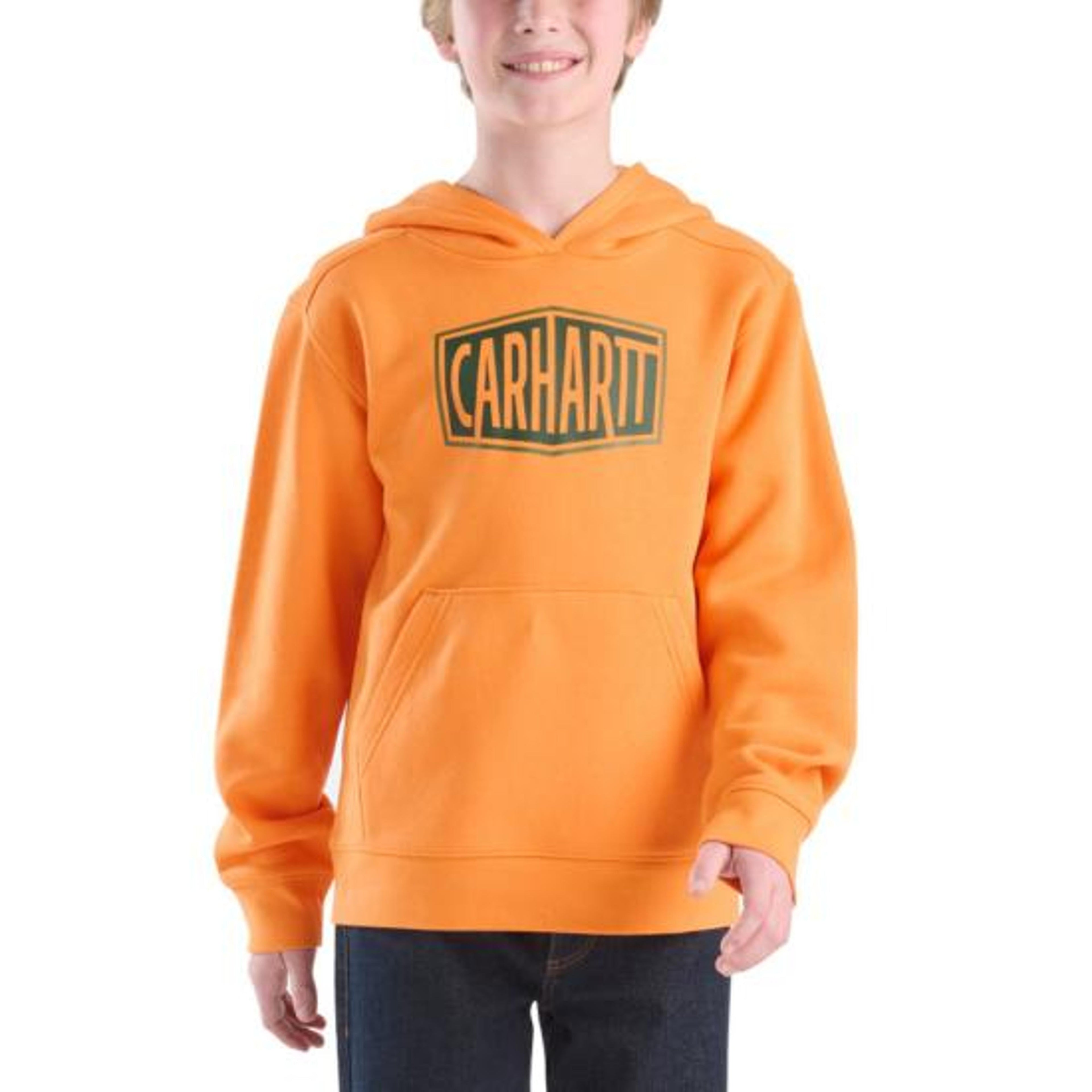 Carhartt Kids Long-sleeve Graphic Sweatshirt 07-T-CA6775-E107-T