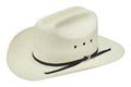 Bailey Guthrie Straw Cowboy Hat-12031