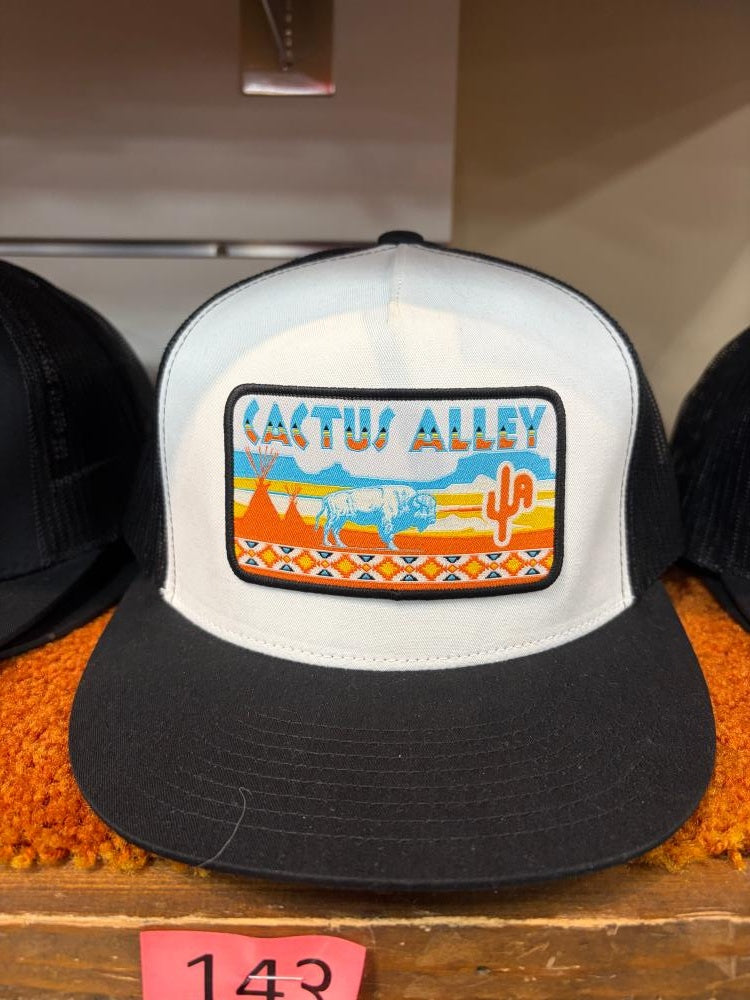 Cactus Alley Hats Tp - 6006 Black/White/Black Mesh, Snapback Cap (2025)-6006BWB-P224