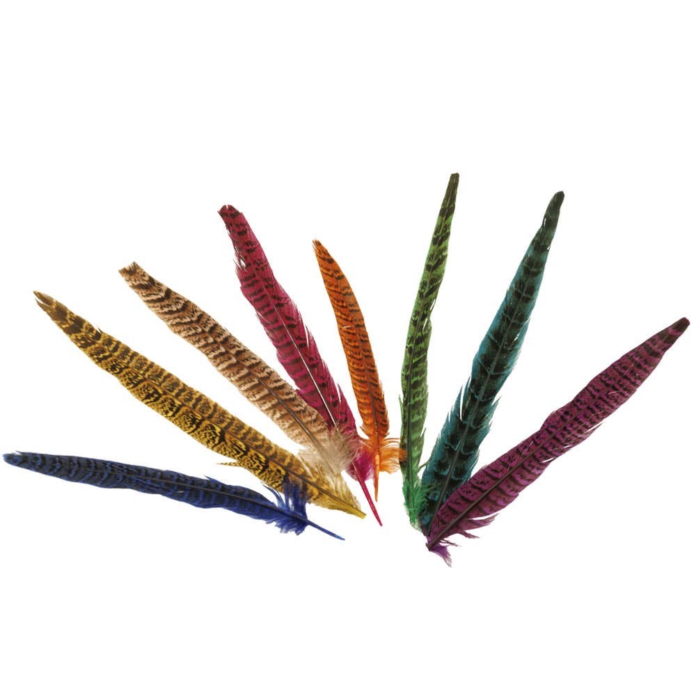 American Hat Makers Hat Feather Ringneck - 810169-VAR