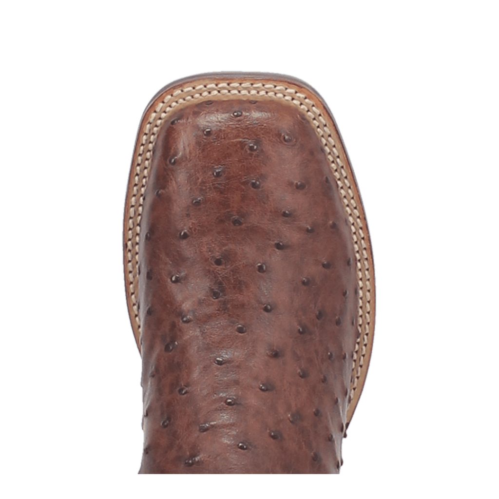 Dan Post Mens Alamosa Full Quill Ostrich Leather Western Boot-DP3875