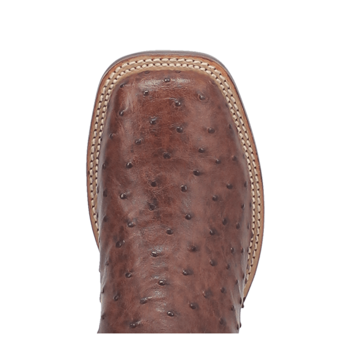 Dan Post Mens Alamosa Full Quill Ostrich Leather Western Boot-DP3875