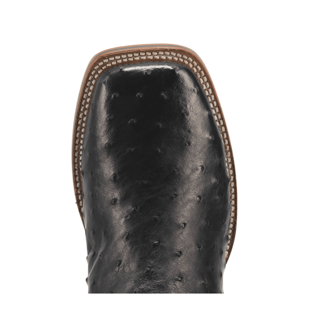 Dan Post Mens Alamosa Full Quill Ostrich Leather Western Boot Black-DP4873