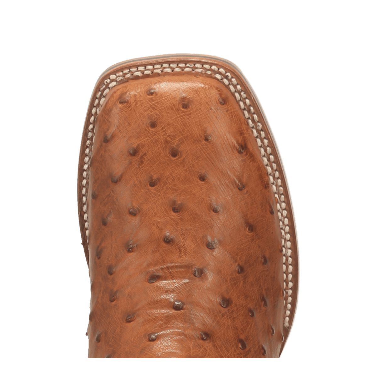 Dan Post Mens Alamosa Full Quill Ostrich Leather Western Boot-DP4874