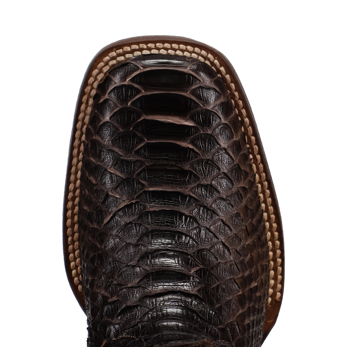 Dan Post Womens Amara Python Boot-DP5281