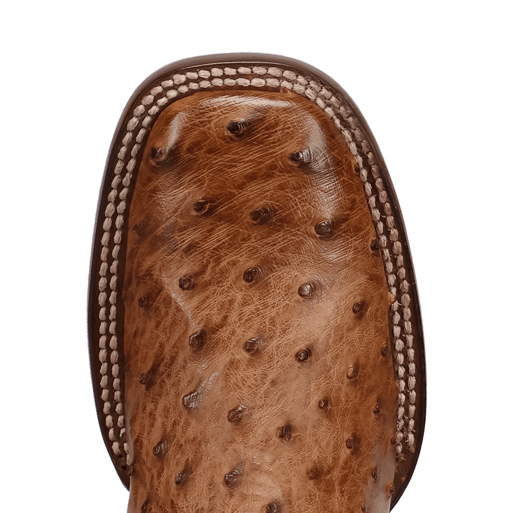 Dan Post Reese Full Quill Ostrich Boot-DP5283