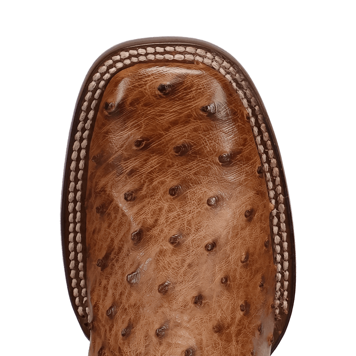Dan Post Reese Full Quill Ostrich Boot-DP5283